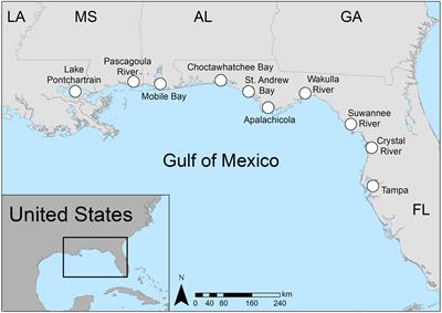 West Indian Manatees Use Partial Migration to Expand Their Geographic Range Into the Northern Gulf of Mexico